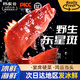 軒農谷鮮活海捕東星斑深海石斑魚(yú)新鮮冷凍海鮮水產(chǎn)冰鮮海魚(yú)紅星石斑魚(yú) 深海野捕6-8兩/條