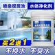 A30KY噴泉景觀(guān)水池清洗劑泳凈水藻類(lèi)青苔蘚微生物水體質(zhì)凈化劑 加強型【1000克/罐】