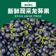 野生龍葵果新鮮黑天天黑悠悠黑星星黑呦呦大山深處現(xiàn)采現(xiàn)發(fā)壞包賠 1斤新鮮現(xiàn)采龍葵果【順豐到家】