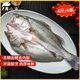 黃小漁寧德三去海鱸魚(yú) 4斤/4條 冷凍開(kāi)背鱸魚(yú) 生鮮 中秋魚(yú)類(lèi)源頭直發(fā)