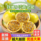 廣西欽蜜9號黃金百香果特大當季新鮮大果黃皮果奶茶店水果原產(chǎn)地 【嘗鮮】1斤 單果45-60g 【產(chǎn)地直發(fā)】禮盒裝+送開(kāi)果器
