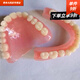 老年全口假牙展示品全口牙齒老人模型假牙教學(xué)義齒標(biāo)準(zhǔn)模型展示 全口