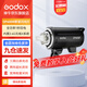 神牛（Godox） DP600/800IIIW三代閃光燈大功率室內(nèi)攝影燈影棚拍攝人像靜物電商補(bǔ)光燈套裝 DP600三代 官方標(biāo)配