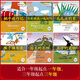 自選】snail's adventure蝸牛旅行記英語(yǔ)繪本你能跟我一起玩嗎王子的寵物毛毛蟲(chóng)的家猴子摘水果三年級(jí)外研麗聲北極星分級(jí)繪本第一級(jí)下6冊(cè) 麗聲北極星分級(jí)繪本第一級(jí)下蝸牛旅行記等6冊(cè) 正版