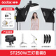 神牛（Godox） 250W閃光燈攝影燈套裝證件照人像拍攝補(bǔ)光燈電商小型攝影棚柔光箱攝影器材 【10】ST250W三燈頂燈套裝