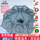 初工漁網(wǎng)可折疊生態(tài)養殖籠地網(wǎng)龍蝦網(wǎng)籠網(wǎng)兜輔材工具尼龍網(wǎng)8孔A傘型