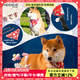 puppytie狗狗項(xiàng)圈三角巾脖圈柴犬中型小型犬 紅色 均碼