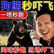 防熊噴霧戶外野外防熊驅(qū)趕野獸噴霧劑近遠距離探險露營深林便攜式 1瓶【防身必備】