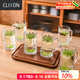CLITON玻璃水杯茶杯 帶把扎啤杯啤酒杯 可樂杯果汁杯飲料杯6只裝