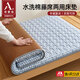 浪莎（langsha）大學(xué)生宿舍床墊子0.9x1.9米地上專用打地鋪睡墊單人冬夏兩用墊被 藍(lán)白小格【雙面兩用】 90x190cm【A面床墊 B面藤席】