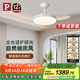 Paulmann P德國柏曼隱形風(fēng)扇燈全光譜護眼吊扇燈客廳餐廳臥室靜音遙控燈