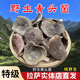野生青頭菌干貨云南特產(chǎn)青頭菇菌香菇蘑菇類新鮮無硫煲湯食材500g 青頭菌500克