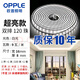 歐普照明（OPPLE）歐普220V高壓燈帶24V低壓線性燈軟光帶客廳吊頂鋁槽裸板燈帶黏貼 雙排款220v【白光]120珠9W/米