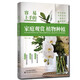 容易上手的家庭觀(guān)賞植物種植 花卉日常養護及病蟲(chóng)害防治知識 花卉種植技巧病蟲(chóng)害防治技術(shù)書(shū)籍