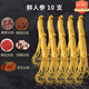 長白山人參10支鮮人參+鹿茸+鎖陽+枸杞+靈芝+瑪咖,泡酒材料(非藥材)