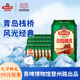 青島啤酒（TsingTao）棧橋風(fēng)光11度330ml*24經(jīng)典黃啤1903精釀啤酒整箱裝自飲 中秋送禮