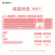 維咖（weikav）PC霧透鍵帽 原廠(chǎng)高度小全套 適用wooting小蜜蜂美加獅61/68/75/87/98/104配列客制化機械鍵盤(pán)鍵帽 喵星粉色-117鍵【盒裝】-OEM高度