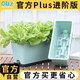 歐林澤2套oliz食品級種菜專(zhuān)用箱長(cháng)方形陽(yáng)臺家用種菜盆花盆蔬菜種植花箱