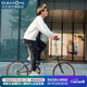 大行（DAHON）D10折疊自行車(chē)20英寸10速成人復(fù)古休閑運(yùn)動(dòng)自行車(chē)HAC003 褐綠幻彩