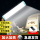 OEMG亮夜市擺攤充電式照明燈戶外露營l帳篷燈多功能led應(yīng)急燈管 【充電款】銅芯+動力鋰電池 亮【應(yīng)急充電燈續(xù)航5H】沖+爆磁+充電寶