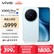 vivo X300 Pro 16GB+512GB 自在藍(lán) 先人一步 蔡司2億APO超級長焦 藍(lán)圖影像雙芯  AI手機(jī)
