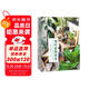 觀葉植物圖鑒：500種室內(nèi)綠植養(yǎng)護(hù)指南