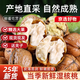 鮮級(jí)佳大涼山新鮮濕核桃去青皮嫩核桃老樹薄紙皮核桃孕婦專用生核桃新貨 凈重5斤【去青皮】送夾子