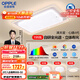 歐普（OPPLE）護眼全光譜吸頂燈客廳燈LED滿(mǎn)天星高亮線(xiàn)條簡(jiǎn)約奶油風(fēng)包安裝套餐1