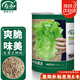 壽禾 生菜種子苗四季種植耐抽苔蔬菜種籽 濰育全年生菜王種子60g罐裝