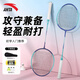 安踏（ANTA）羽毛球拍對拍入門(mén)款套裝超輕耐打訓練比賽成人學(xué)生雙拍621-5
