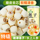 神農(nóng)金康 蓮子500g 湘潭去芯磨皮白蓮子 桂圓百合銀耳羹食材 搭配中藥材