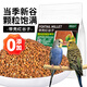 捕漁達人 帶殼紅谷子1200g/袋 鸚鵡鳥食營養(yǎng)鳥糧五色黍子增亮毛色飽滿谷子