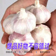 （干瓣蒜）蒜頭紫白皮大蒜 5斤3斤包郵 分瓣蒜 生鮮特產(chǎn)調(diào)味 蔬菜 干瓣蒜5斤 小果（果徑30-40mm）