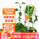 漫生活綠蘿固定器綠植免釘貼墻自粘式掛鉤園藝藤蔓植物攀爬夾子中號30個(gè)