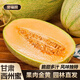 譽(yù)福園甘肅西周蜜瓜黃金甜瓜水果新鮮當(dāng)季整箱沙漠黃金哈密瓜香瓜 凈重7-8斤