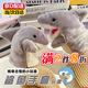 皓梵潔鯊魚(yú)手套小鯊魚(yú)手偶兒童玩具玩偶公仔可張嘴能張開(kāi)嘴巴動(dòng)物鯊可動(dòng) 【小鯊魚(yú)手偶玩具】1個(gè)裝
