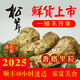高原云品【松茸新鮮】香格里拉一級(jí)不開(kāi)傘 新鮮松茸菌 順豐速達(dá) 送禮品袋 10-13厘米500克