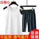 際華三五六五白背心夏男無(wú)袖體能服汗衫速干運動(dòng)彈力跑步訓練制正式背心吸汗白背心【一件裝】175/92-96【適合135-150斤】