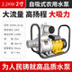 水泵農(nóng)用灌溉大流量自吸泵井水高壓高揚(yáng)程2寸3寸4寸6寸抽水機(jī) 全銅電機(jī) 2.2KW自吸泵2寸 220V