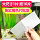 LNGA LANDGRE魚(yú)缸吸色片除黃水綠水污漬專(zhuān)用材料布水族過(guò)濾棉除魚(yú)糞凈化水質(zhì)紙 50片魚(yú)缸吸色片雙層大尺寸11*28CM 快速1