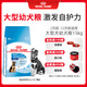 皇家狗糧 幼犬狗糧 幼犬奶糕 寵物大型犬MAJ30全價(jià)犬糧2-15月15KG