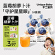 不二寶貝藍莓葉黃素酯胡蘿卜蘋果汁105ml*4搭寶寶嬰兒幼兒童健康夏天飲料