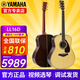 雅馬哈（YAMAHA）LL16D/LS16/LLTA全單電箱民謠吉他單板加振加震舞臺演出木吉它 LL16D ARE原木色全單電箱41英寸