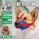 JCZS德國品牌狗狗嘴套防咬亂叫吃口罩小型犬柯基泰迪柴犬狗套狗罩套嘴 紅藍拼接嘴套 S【4-9斤】