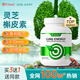 Vinsic槲皮素膠囊清肺結(jié)節(jié)消除磨玻璃散結(jié)節(jié)特效肺部保健品美國(guó)原裝進(jìn)口 4瓶周期裝【買3送1 清肺結(jié)節(jié)】