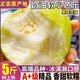 【順豐】福建軟糯軟心白心芭樂5斤水果漳州當(dāng)季奶油番石榴巴樂果 5斤奶油芭樂