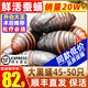 遼夢(mèng)【銷量20萬+只】蠶蛹鮮活發(fā)貨東北特產(chǎn) 新鮮繭蛹特級(jí)大黃蠶蛹蟬蛹 大黑蠶蛹500g【45-50只】