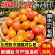王晚兒源頭發(fā)新疆小紅杏吊干杏新鮮杏子水果阿克蘇整箱當(dāng)季孕婦一杏兩吃 凈重3斤單果18g+