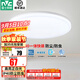 雷士（NVC）陽臺燈臥室燈吸頂燈燈具燈飾廚房燈LED照明燈現(xiàn)代簡約燈飾衛(wèi)生間 如雪白 24瓦 正白光 IP40防蟲