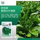 京農研農科院蔬菜種子大葉香菜四季小蔥雞毛菜紅莧菜芝麻菜空心菜種籽孑 翠綠大葉菠菜 10克